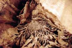 Mammoth Cave, Kentucky, August 1984.