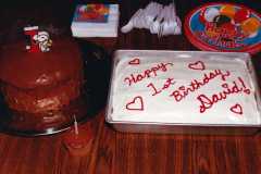 David Arnold's first birthday, September 1984.