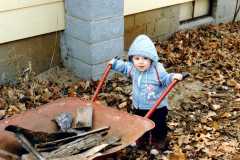 David Arnold, October 1984.