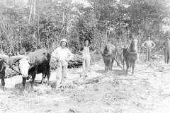 Farm Scene, circa 1910