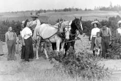 Harvest Scene, circa 1910