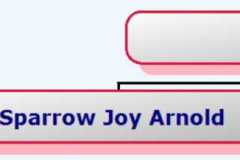 2009-10-26-HourglassChart-ArnoldSJ2009