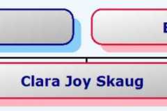 2011-09-11-HourglassChart-SkaugCJ2011